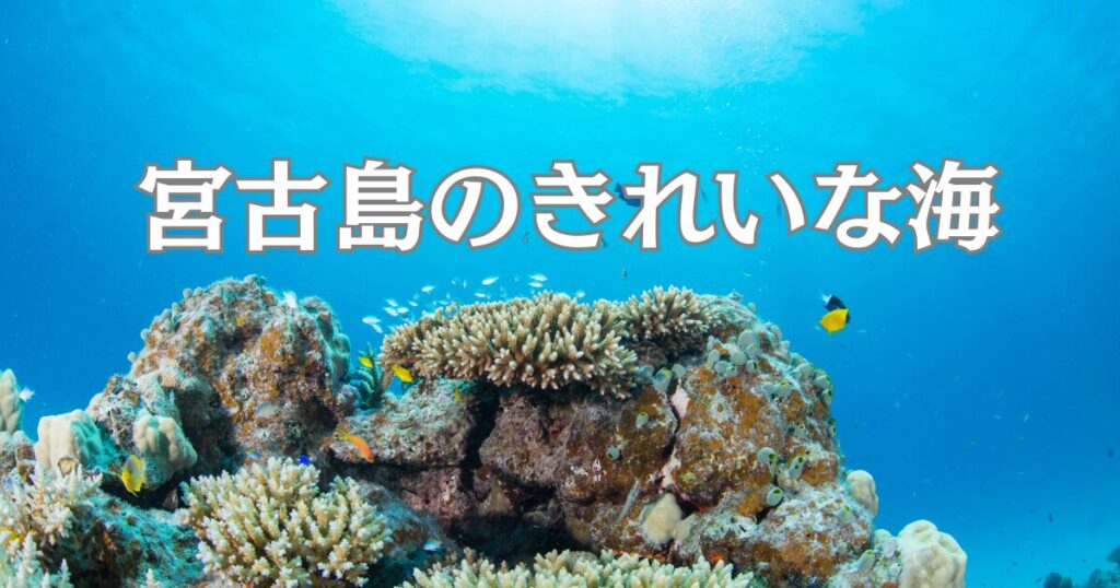 宮古島はきれいな海で有名です