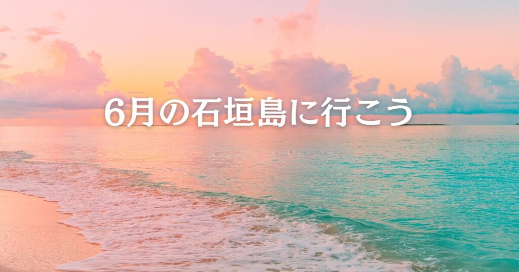 美しい夕方の南国のビーチの写真