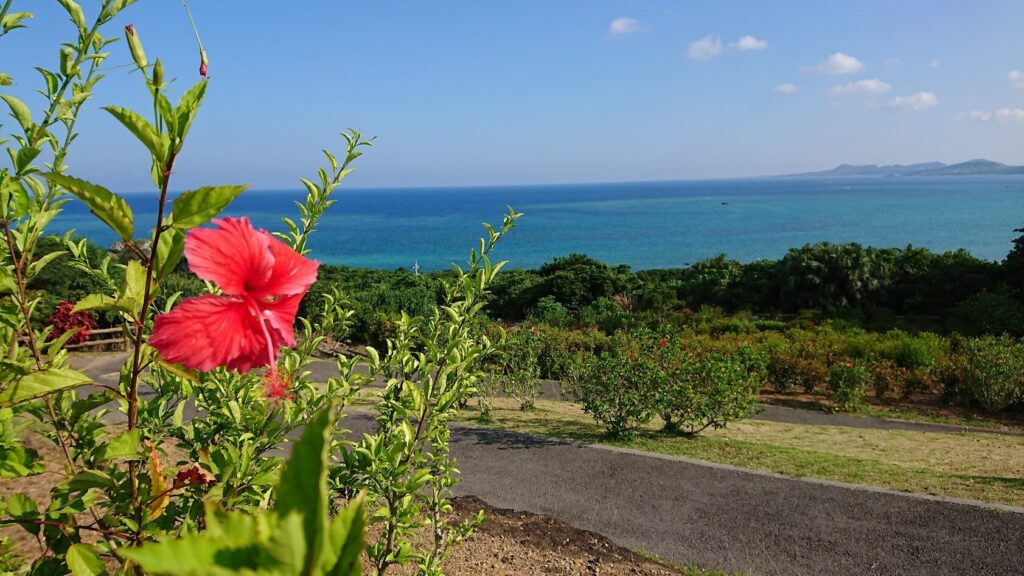 石垣島の玉取崎展望台からの景色です。ドライブコースにぴったり。