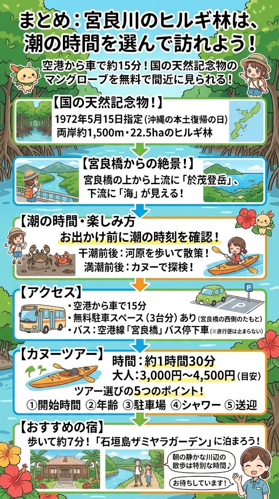 宮良川のヒルギ林、空港から車で約15分の場所にありながら、国の天然記念物のマングローブを無料で間近に見られる場所のインフォグラフィック