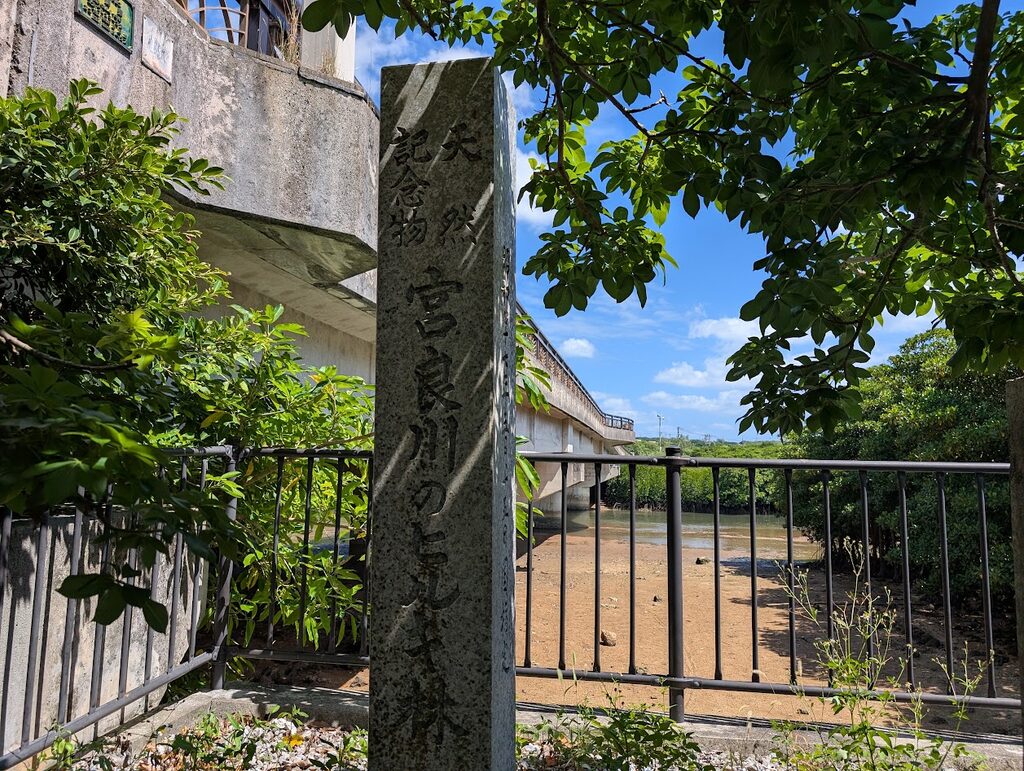 「天然記念物 宮良川のヒルギ林」と刻まれた石碑