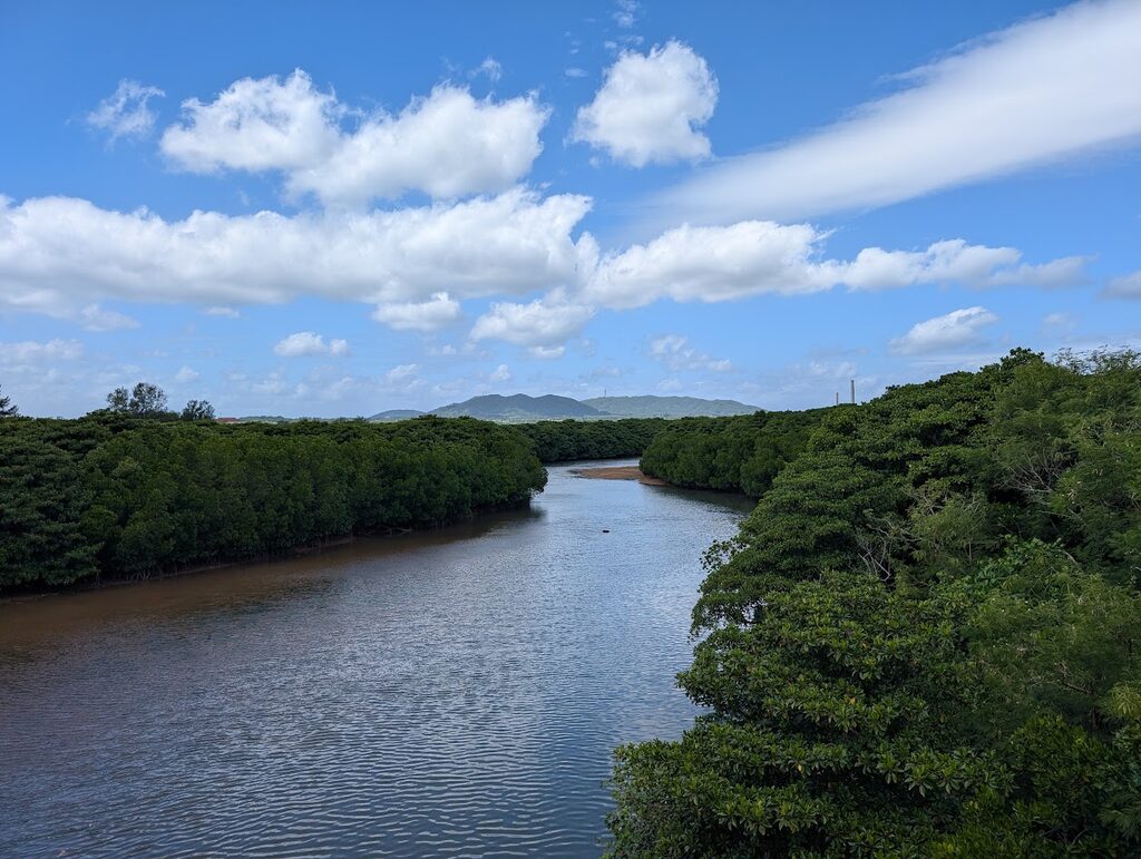 宮良橋から見た宮良川の上流とマングローブ林、奥に於茂登岳