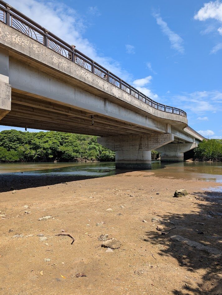干潮時の河原から見上げた宮良橋とマングローブ林